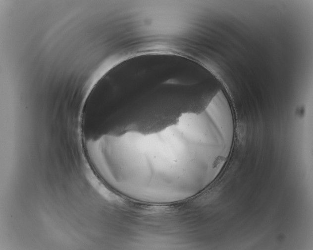 X0000111371482200907241234