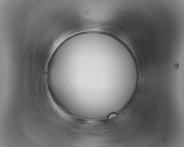 X0000111371483200907241234