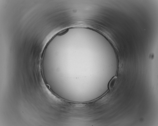 X0000111371484200907241234