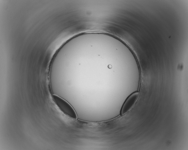 X0000111371485200907241234