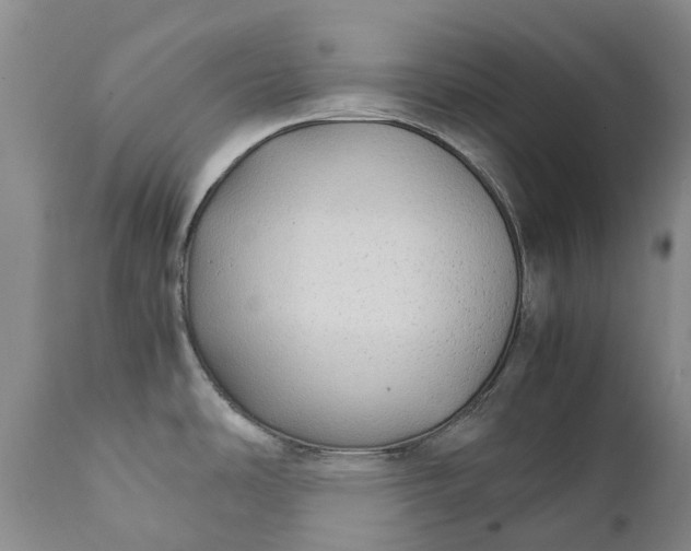 X0000111371486200907241234