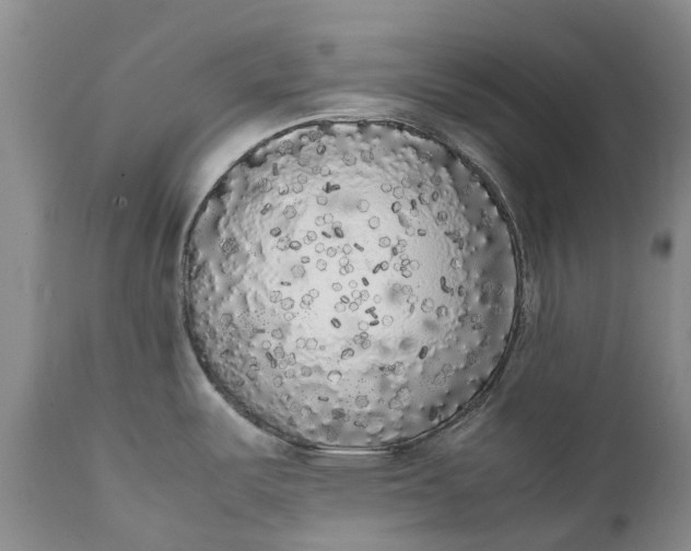 X0000111371487200907241234