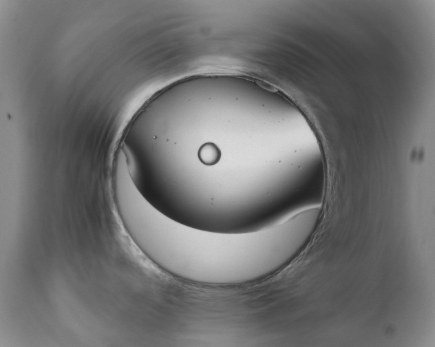 X0000111371488200907241234