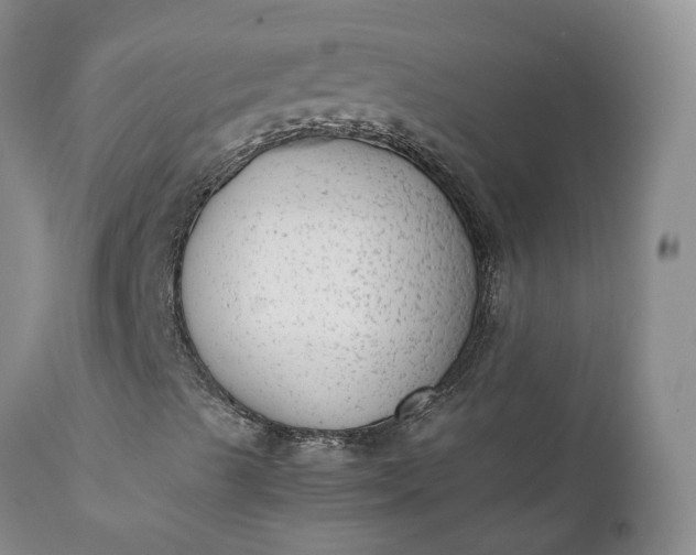 X0000111371489200907241233