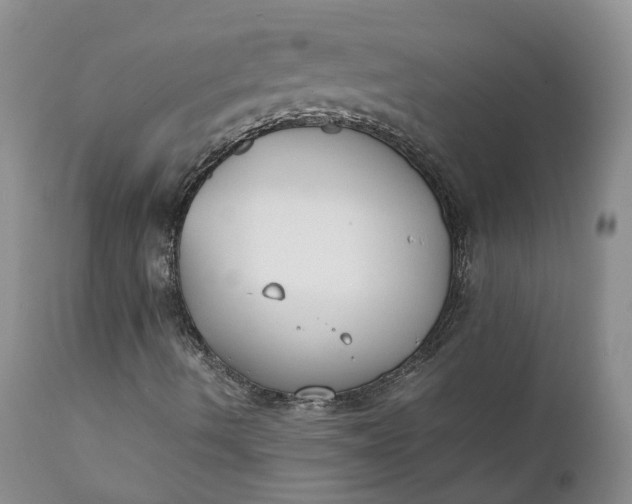 X0000111371490200907241233