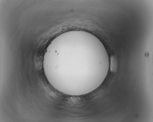 X0000111371491200907241233