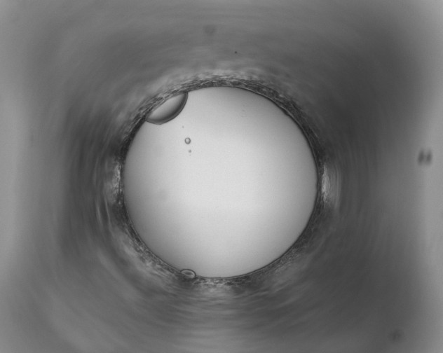 X0000111371492200907241233