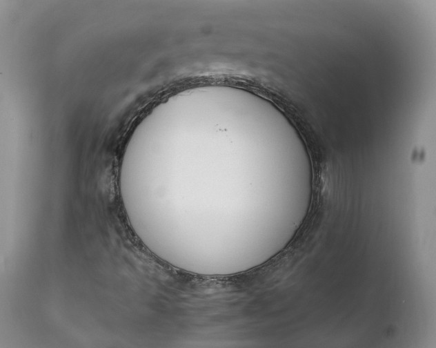 X0000111371493200907241233