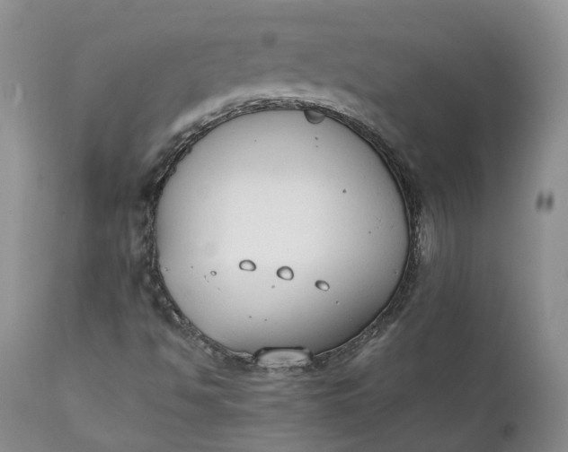 X0000111371494200907241233