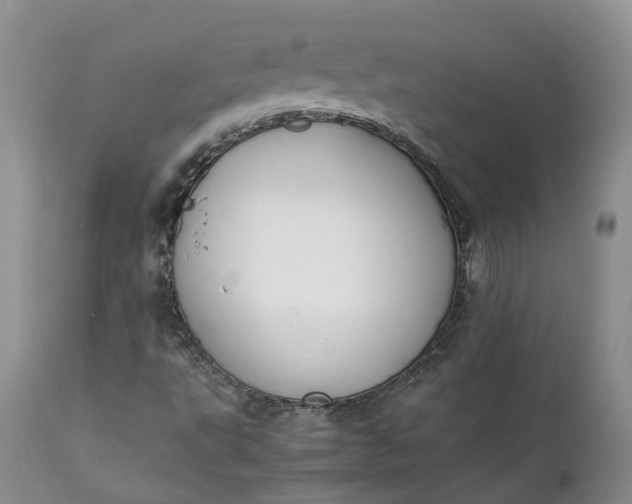 X0000111371495200907241233