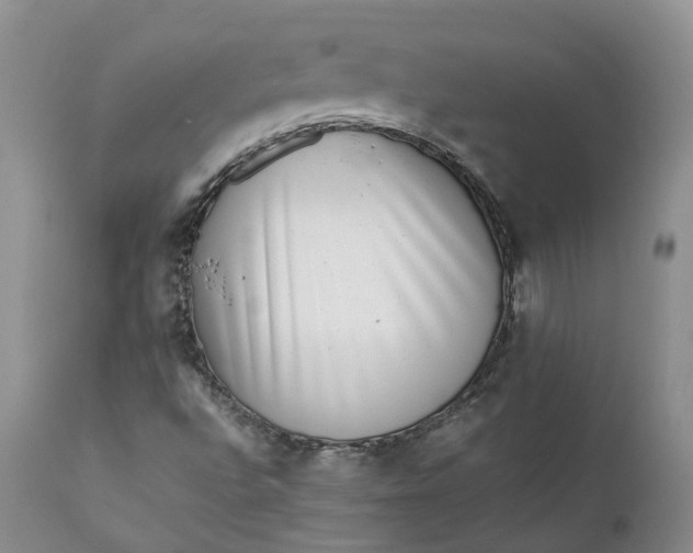 X0000111371496200907241233