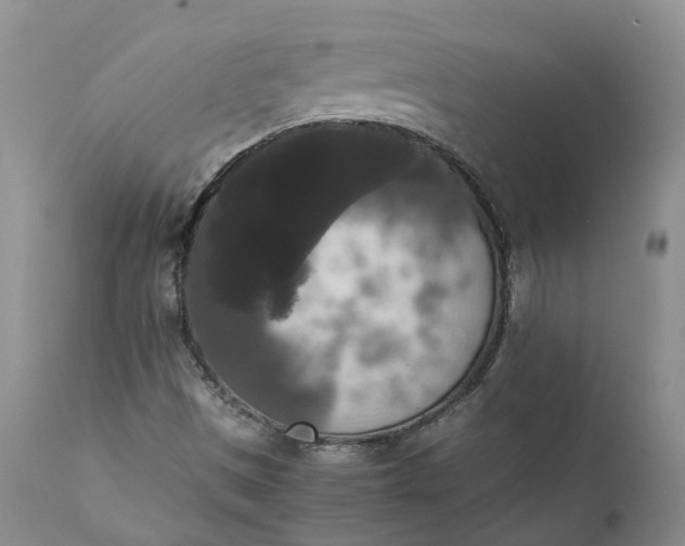 X0000111371497200907241233