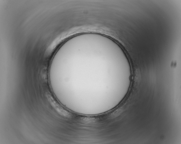 X0000111371499200907241233