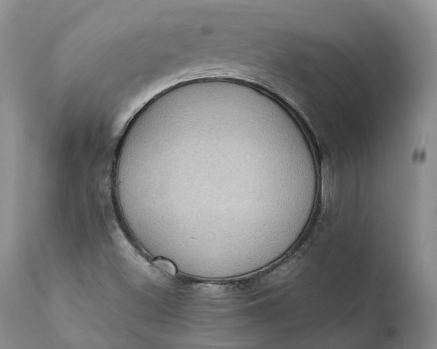 X0000111371500200907241233