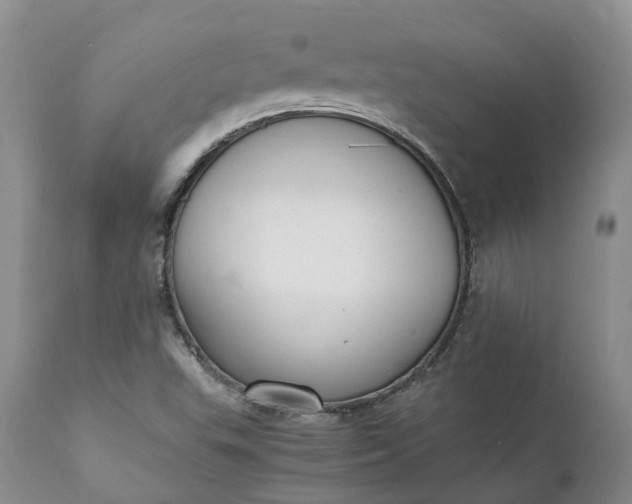 X0000111371503200907241233