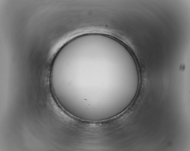 X0000111371504200907241233