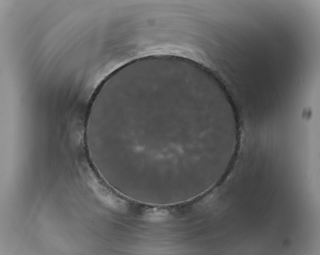 X0000111371505200907241233