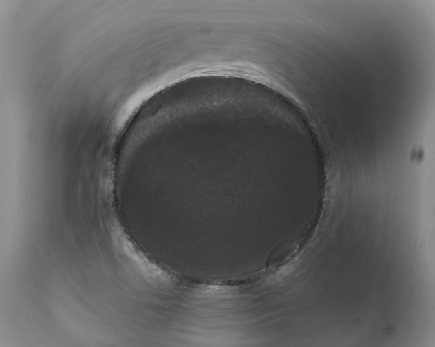 X0000111371506200907241233