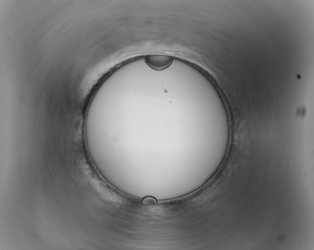 X0000111371507200907241233