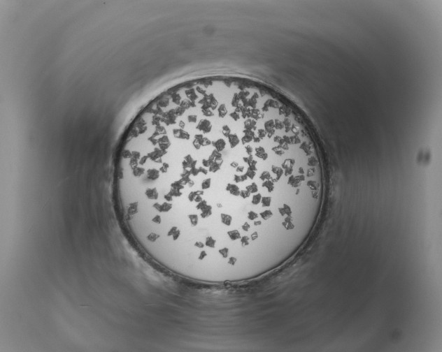 X0000111371508200907241233