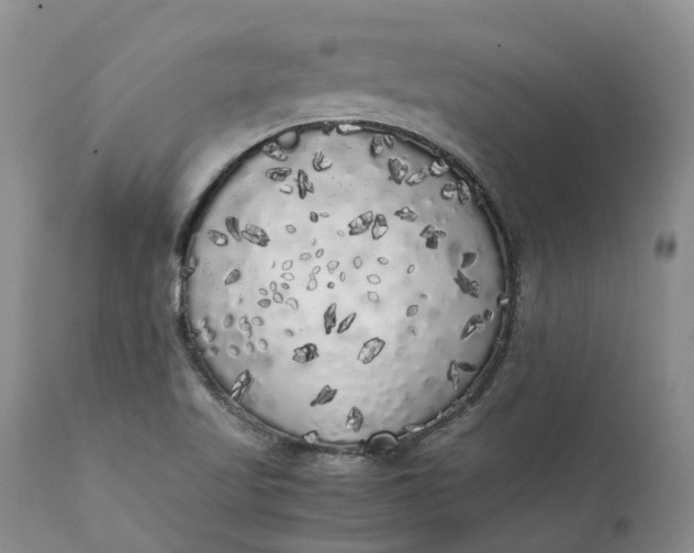 X0000111371509200907241233