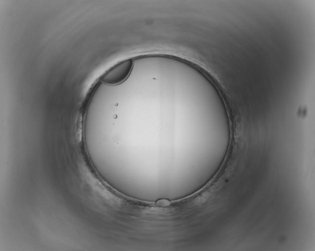 X0000111371510200907241233