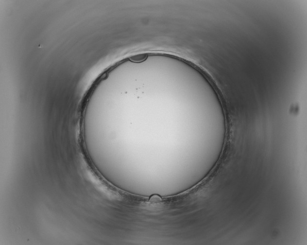 X0000111371511200907241233