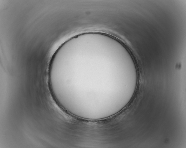 X0000111371512200907241233