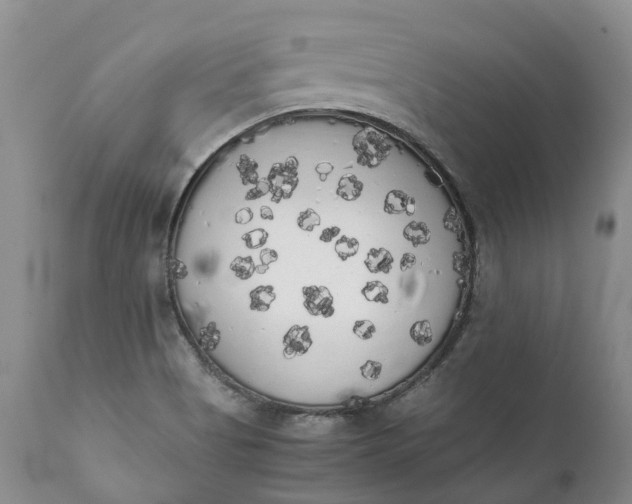 X0000111371513200907241233