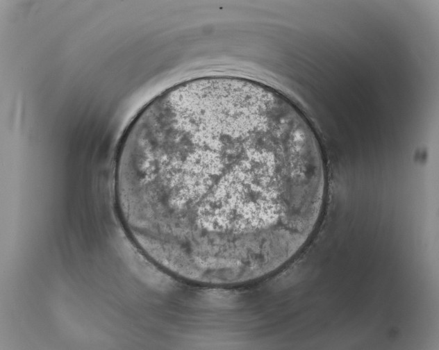 X0000111371514200907241234