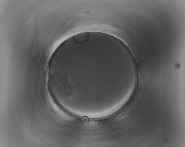 X0000111371515200907241234