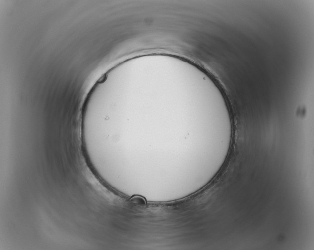 X0000111371516200907241234