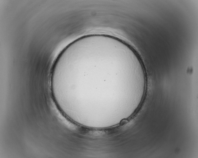 X0000111371517200907241234