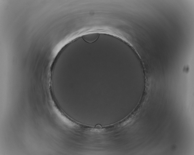 X0000111371519200907241234