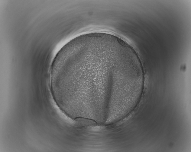 X0000111371520200907241234