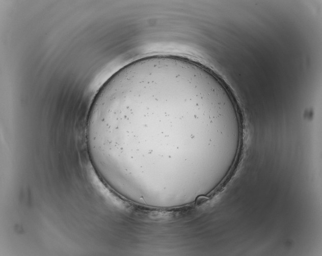 X0000111371521200907241234