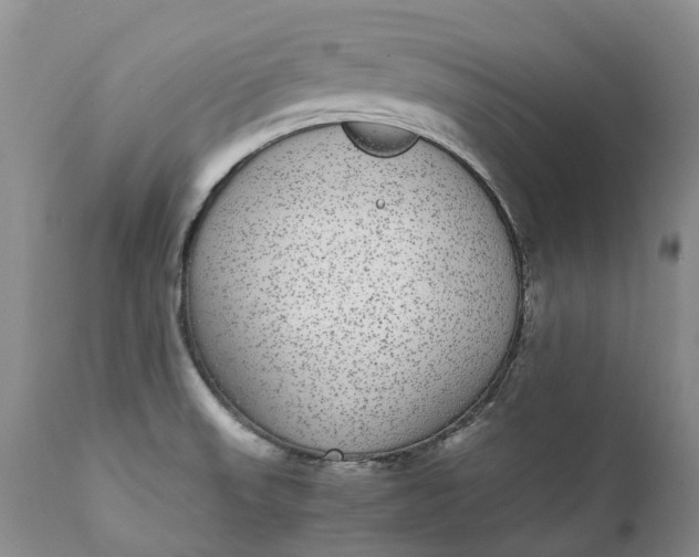 X0000111371523200907241234