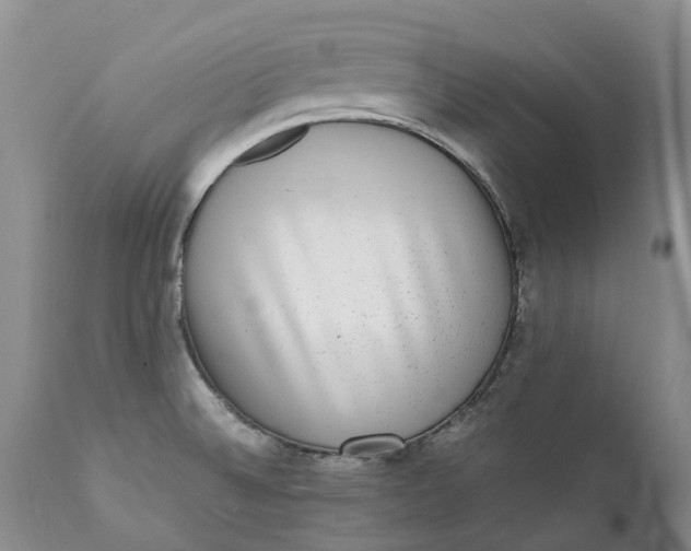 X0000111371524200907241234