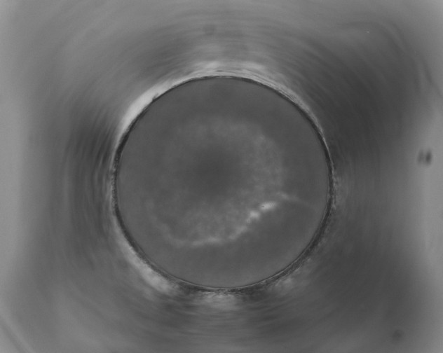 X0000111371525200907241234