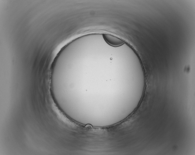 X0000111371526200907241234