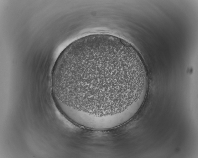 X0000111371527200907241234