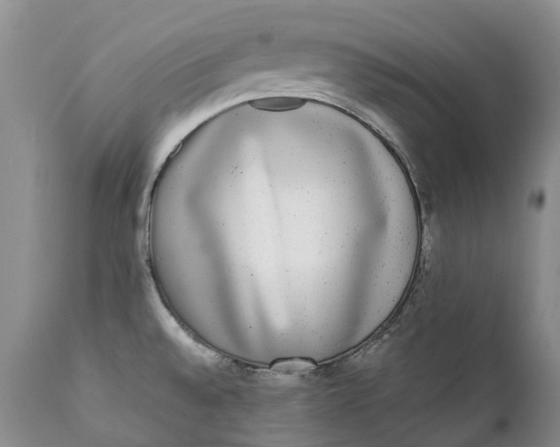 X0000111371528200907241234