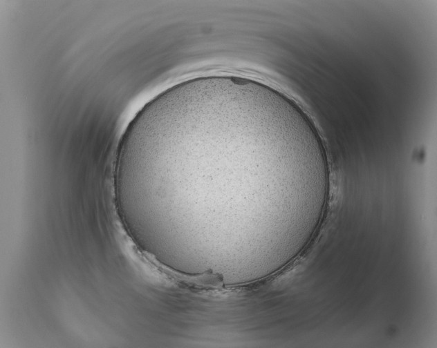 X0000111371530200907241234