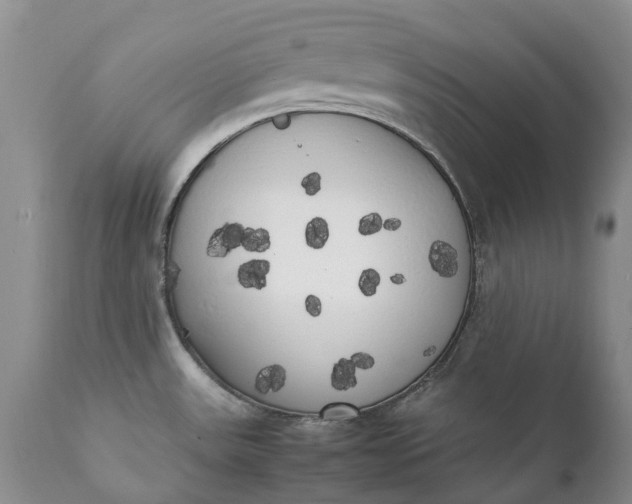 X0000111371531200907241234