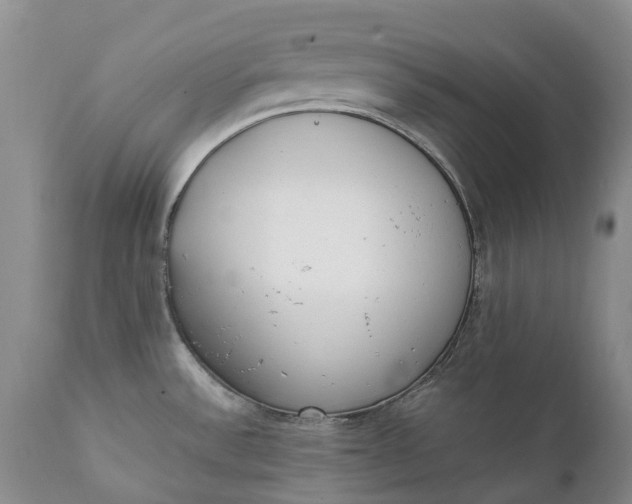 X0000111371532200907241234