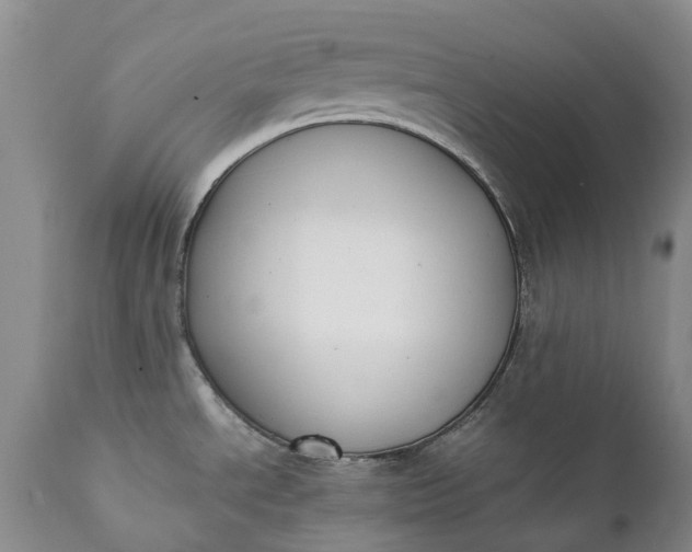 X0000111371534200907241234