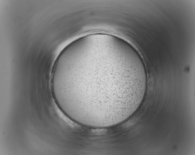 X0000111371535200907241234