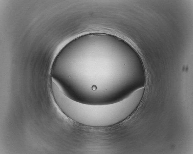 X0000111371536200907241234