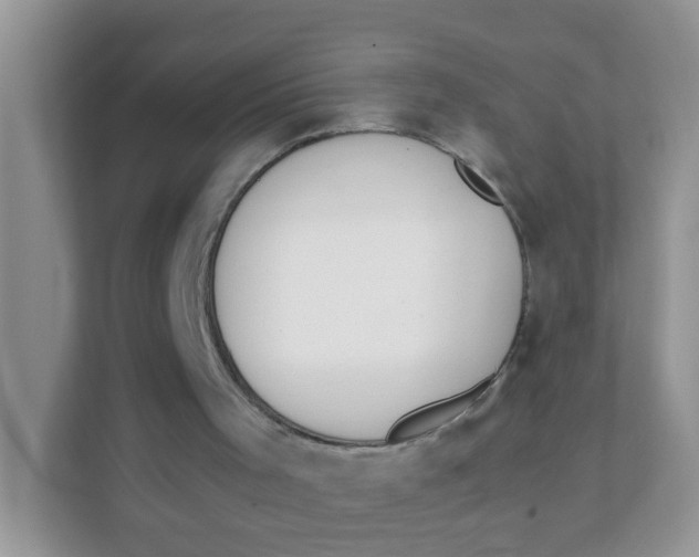 X0000111370001200907311043