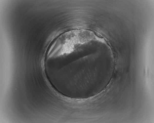X0000111370002200907311042